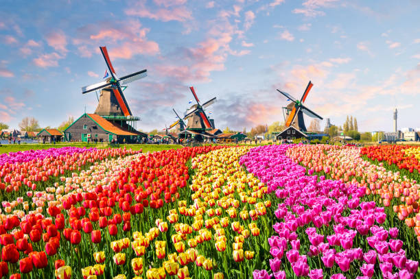 The Villagers Ski Club 2027 Amsterdam & Netherlands Bike and Barge trip
